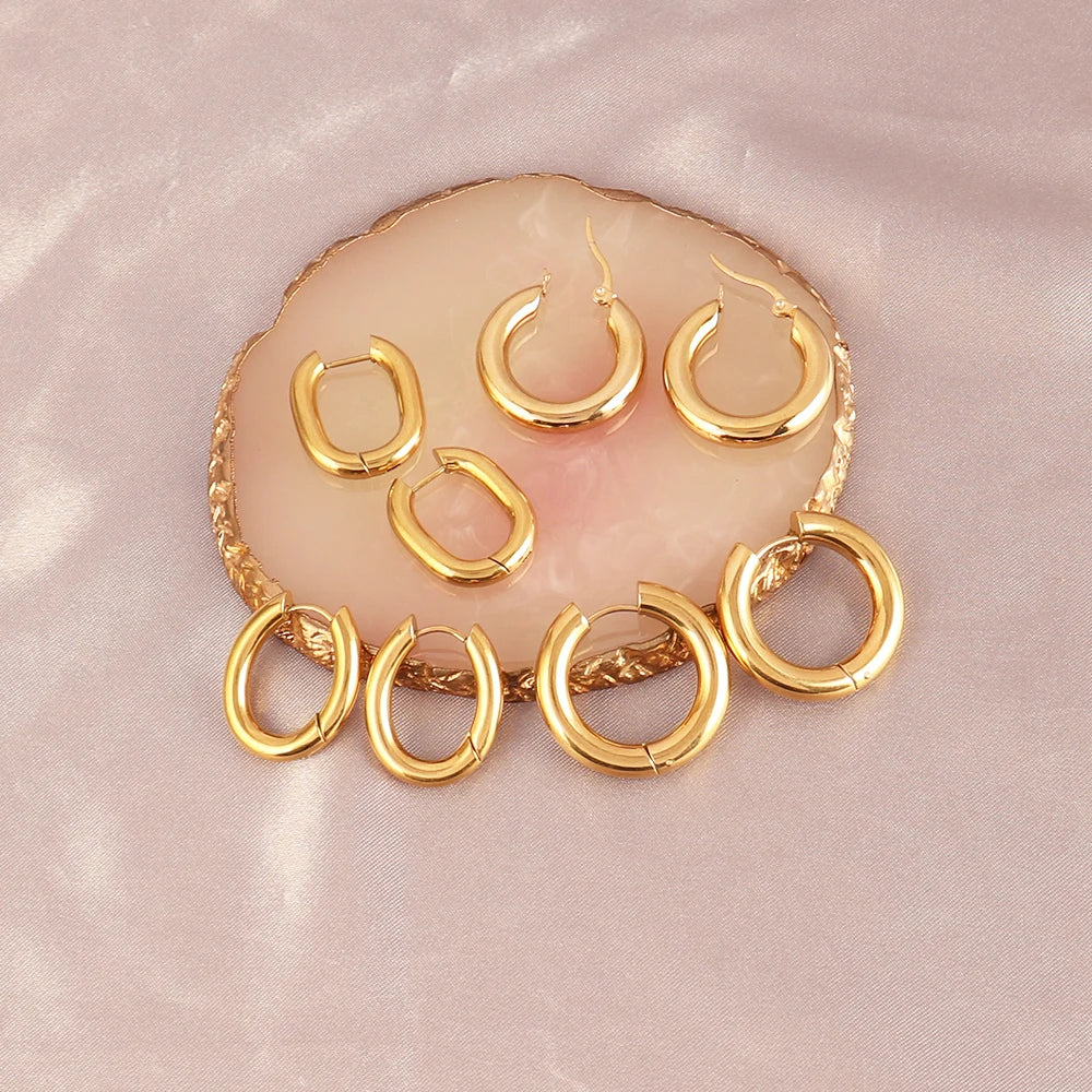 Stainless Steel Hoop Earrings