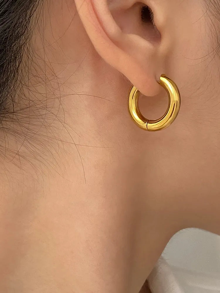 Stainless Steel Hoop Earrings